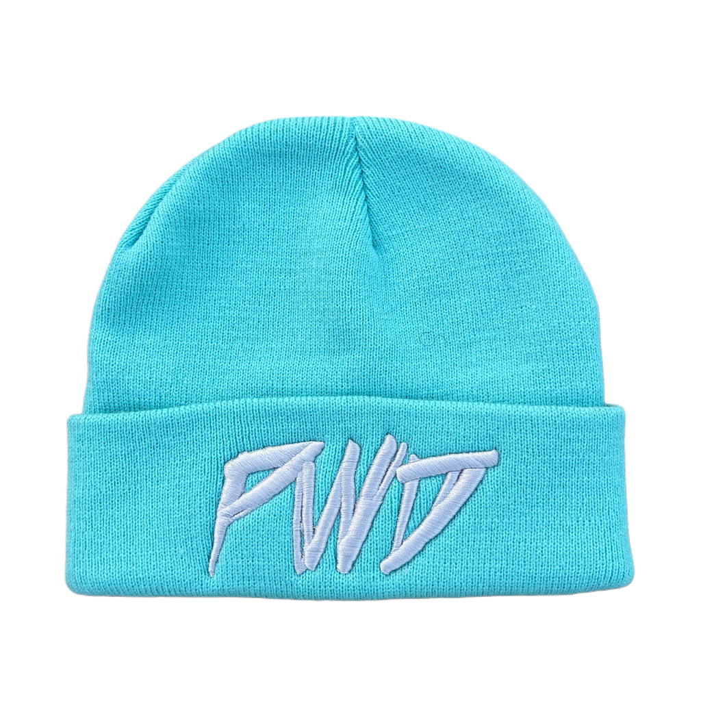 PWD Teal Beanie